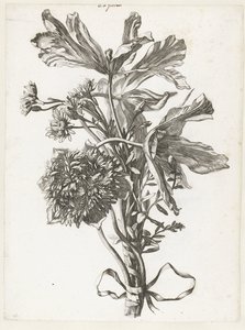 Bouquet con tulipani appassiti, un anemone e immortelle da Jacques Bailly (I)