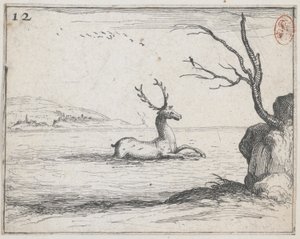 Un cervo nell