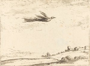 Uccello del paradiso da Jacques Callot