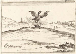 Fenice ardente da Jacques Callot