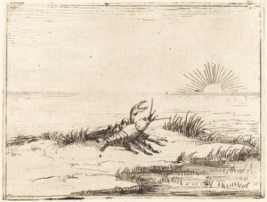 Gambero che guarda il sole da Jacques Callot