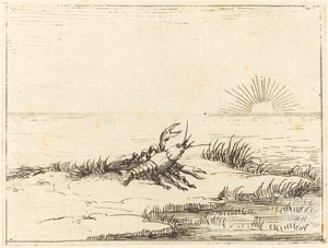 Gambero che guarda il sole da Jacques Callot