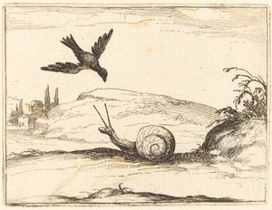 Corvo e lumaca da Jacques Callot