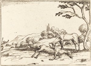 Cerva in Lutto per il Suo Puledro da Jacques Callot