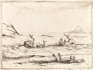 Delfini e coccodrillo da Jacques Callot