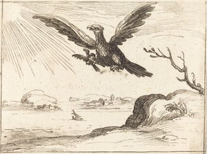 Aquila e giovani da Jacques Callot