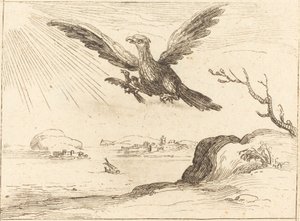 Aquila e giovani da Jacques Callot