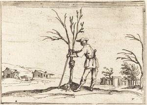 Giardiniere che Potatura un Albero da Jacques Callot
