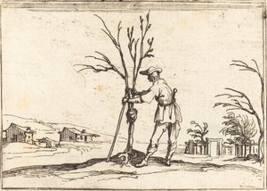 Giardiniere che pota un albero da Jacques Callot