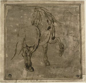 Cavallo, Visto da Tre Quarti dal Retro