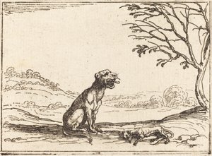 Leonessa che Piange il suo Cucciolo da Jacques Callot