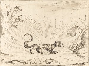 Salamandra circondata dalle fiamme da Jacques Callot