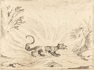 Salamandra Circondata dalle Fiamme da Jacques Callot