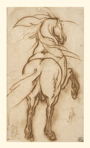 Studio di un cavallo da allevamento