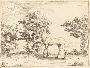 La cerva