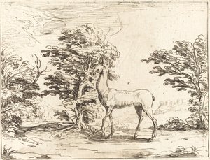 La cerva da Jacques Callot