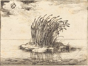 Le canne e il vento da Jacques Callot
