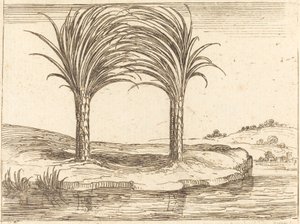 Due palme da Jacques Callot