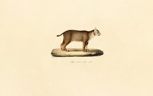  da Jacques Christophe Werner