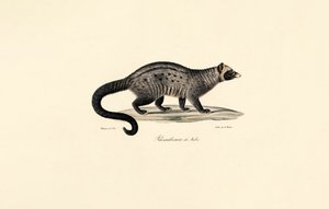  da Jacques Christophe Werner