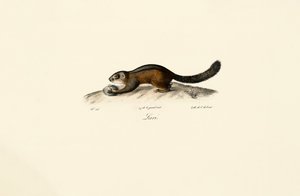  da Jacques Christophe Werner