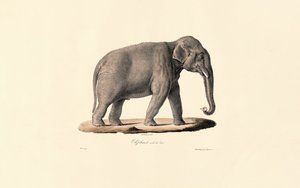 da Jacques Christophe Werner