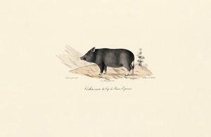  da Jacques Christophe Werner