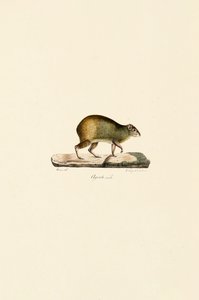  da Jacques Christophe Werner