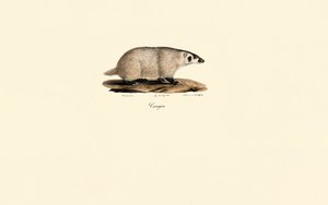  da Jacques Christophe Werner