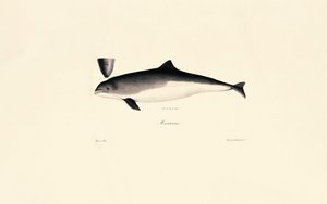  da Jacques Christophe Werner