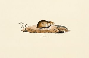 da Jacques Christophe Werner