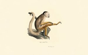  da Jacques Christophe Werner