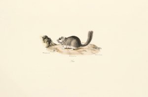  da Jacques Christophe Werner