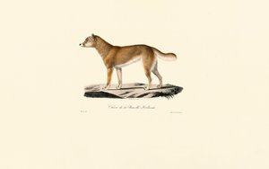  da Jacques Christophe Werner