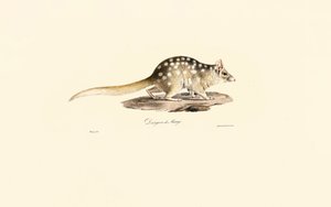  da Jacques Christophe Werner