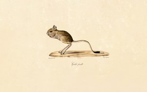  da Jacques Christophe Werner