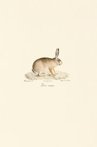  da Jacques Christophe Werner
