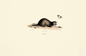  da Jacques Christophe Werner