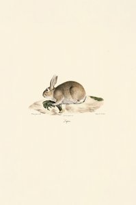  da Jacques Christophe Werner