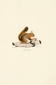  da Jacques Christophe Werner