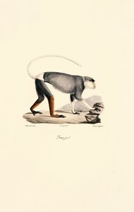  da Jacques Christophe Werner