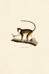  da Jacques Christophe Werner