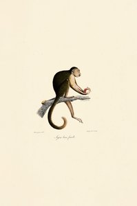  da Jacques Christophe Werner