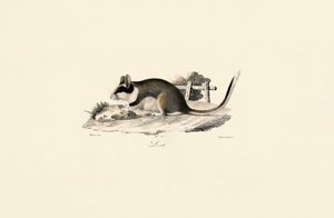  da Jacques Christophe Werner