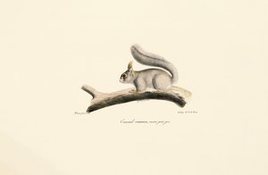  da Jacques Christophe Werner