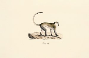  da Jacques Christophe Werner