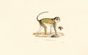  da Jacques Christophe Werner