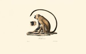  da Jacques Christophe Werner