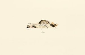  da Jacques Christophe Werner