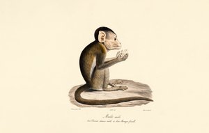  da Jacques Christophe Werner